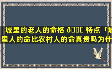 城里的老人的命格 🐘 特点「城里人的命比农村人的命真贵吗为什 🐎 么」